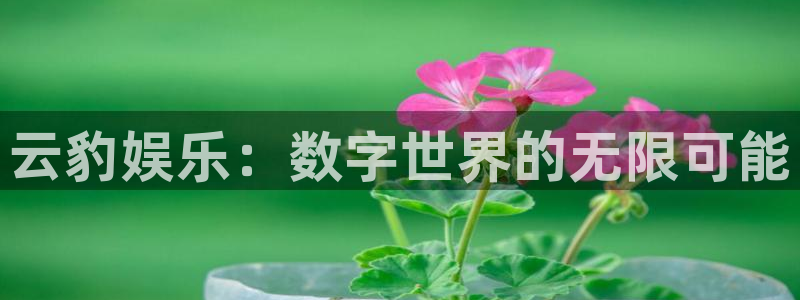 耀世娱乐入口